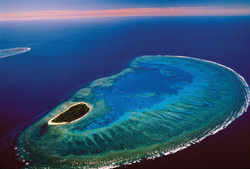 Lady-Musgrave-Island